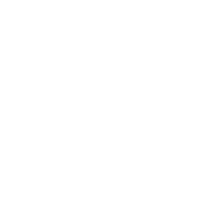 logo en entier aife en blanc